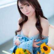 ヒメ日記 2025/07/30 12:06 投稿 みなみ チューリップ福井別館