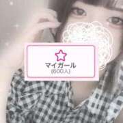 ヒメ日記 2024/12/31 19:11 投稿 めい 秋葉原コスプレ学園(AKG)