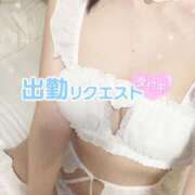 ヒメ日記 2025/04/15 17:51 投稿 めい 秋葉原コスプレ学園(AKG)