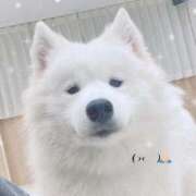 ヒメ日記 2025/06/17 08:41 投稿 めい 秋葉原コスプレ学園(AKG)