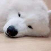 ヒメ日記 2025/07/30 22:35 投稿 めい 秋葉原コスプレ学園(AKG)