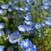 ヒメ日記 2025/08/04 08:22 投稿 めい 秋葉原コスプレ学園(AKG)