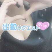 めい リクエスト受付中 秋葉原コスプレ学園(AKG)