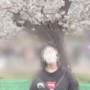 ヒメ日記 2026/03/29 16:41 投稿 めい 秋葉原コスプレ学園(AKG)