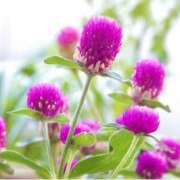 ヒメ日記 2024/12/23 20:47 投稿 永井 あなたに逢いたくて