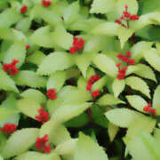 ヒメ日記 2024/12/28 09:47 投稿 永井 あなたに逢いたくて