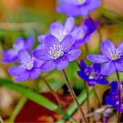 ヒメ日記 2025/01/05 19:57 投稿 永井 あなたに逢いたくて