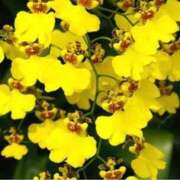 ヒメ日記 2025/01/16 10:57 投稿 永井 あなたに逢いたくて