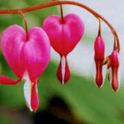 ヒメ日記 2025/01/31 09:47 投稿 永井 あなたに逢いたくて