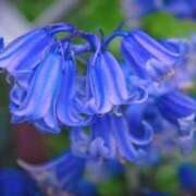 ヒメ日記 2025/02/06 22:37 投稿 永井 あなたに逢いたくて