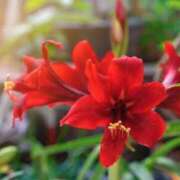 ヒメ日記 2025/02/24 23:07 投稿 永井 あなたに逢いたくて