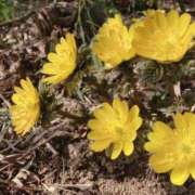 ヒメ日記 2025/02/26 00:57 投稿 永井 あなたに逢いたくて