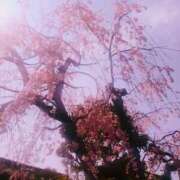 ヒメ日記 2025/03/27 11:27 投稿 永井 あなたに逢いたくて