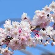 ヒメ日記 2025/03/31 07:27 投稿 永井 あなたに逢いたくて