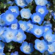 ヒメ日記 2025/04/07 22:57 投稿 永井 あなたに逢いたくて