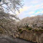 ヒメ日記 2025/04/09 17:38 投稿 永井 あなたに逢いたくて