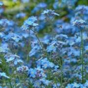 ヒメ日記 2025/04/22 21:27 投稿 永井 あなたに逢いたくて