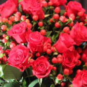 ヒメ日記 2025/06/03 13:57 投稿 永井 あなたに逢いたくて