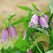 ヒメ日記 2025/06/06 09:57 投稿 永井 あなたに逢いたくて