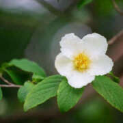 ヒメ日記 2025/06/16 22:07 投稿 永井 あなたに逢いたくて