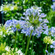 ヒメ日記 2025/06/20 15:17 投稿 永井 あなたに逢いたくて