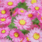 ヒメ日記 2025/06/28 11:17 投稿 永井 あなたに逢いたくて