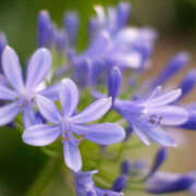 ヒメ日記 2025/06/28 11:27 投稿 永井 あなたに逢いたくて