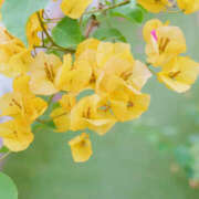 ヒメ日記 2025/07/01 13:57 投稿 永井 あなたに逢いたくて