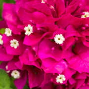 ヒメ日記 2025/07/02 13:57 投稿 永井 あなたに逢いたくて