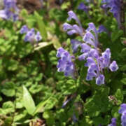 ヒメ日記 2025/07/04 07:37 投稿 永井 あなたに逢いたくて