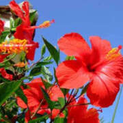 ヒメ日記 2025/07/12 01:27 投稿 永井 あなたに逢いたくて