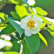 ヒメ日記 2025/07/16 10:27 投稿 永井 あなたに逢いたくて