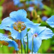 ヒメ日記 2025/08/05 11:07 投稿 永井 あなたに逢いたくて