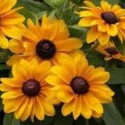 ヒメ日記 2025/08/12 09:47 投稿 永井 あなたに逢いたくて