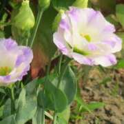 ヒメ日記 2025/08/18 16:17 投稿 永井 あなたに逢いたくて