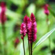 ヒメ日記 2025/08/24 20:47 投稿 永井 あなたに逢いたくて