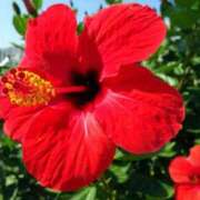 ヒメ日記 2025/08/26 13:27 投稿 永井 あなたに逢いたくて