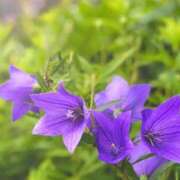 ヒメ日記 2025/09/02 08:27 投稿 永井 あなたに逢いたくて