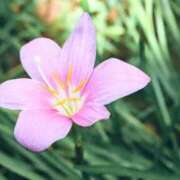 ヒメ日記 2025/09/09 16:37 投稿 永井 あなたに逢いたくて