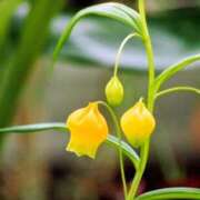 ヒメ日記 2025/09/21 09:08 投稿 永井 あなたに逢いたくて