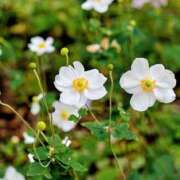 ヒメ日記 2025/10/03 13:07 投稿 永井 あなたに逢いたくて