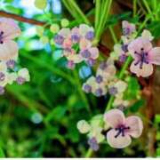 ヒメ日記 2025/10/24 11:07 投稿 永井 あなたに逢いたくて