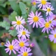 ヒメ日記 2025/10/29 11:37 投稿 永井 あなたに逢いたくて