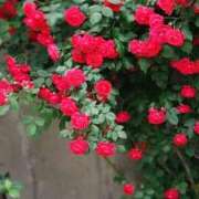 ヒメ日記 2025/11/10 10:57 投稿 永井 あなたに逢いたくて