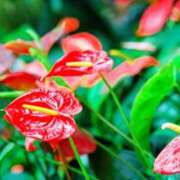 ヒメ日記 2025/11/15 10:47 投稿 永井 あなたに逢いたくて