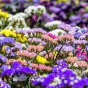 ヒメ日記 2025/11/18 12:17 投稿 永井 あなたに逢いたくて