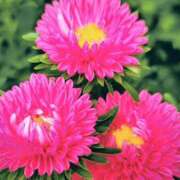 永井 12/3のお礼♡ あなたに逢いたくて