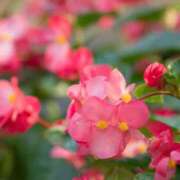 ヒメ日記 2025/12/12 09:57 投稿 永井 あなたに逢いたくて