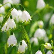 ヒメ日記 2025/12/19 23:27 投稿 永井 あなたに逢いたくて