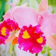 ヒメ日記 2025/12/21 09:07 投稿 永井 あなたに逢いたくて